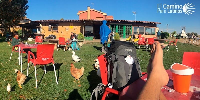 Ampollas Camino de Santiago