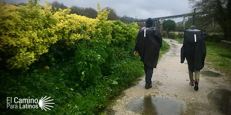llueve en el Camino