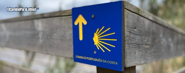 Camino Portugués en Bicicleta desde Porto: lo que realmente necesitas saber 2 Camino portugués en bicicleta desde Porto 2026