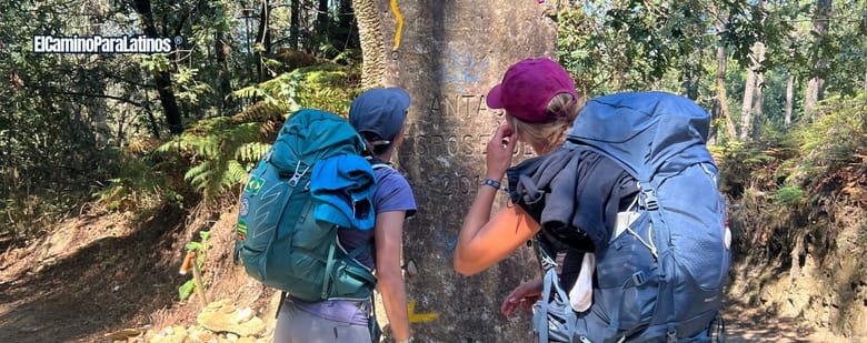Estadísticas Camino de Santiago 2025 - Mujeres mayoría