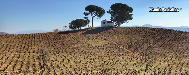El Vino en el Camino - El Bierzo